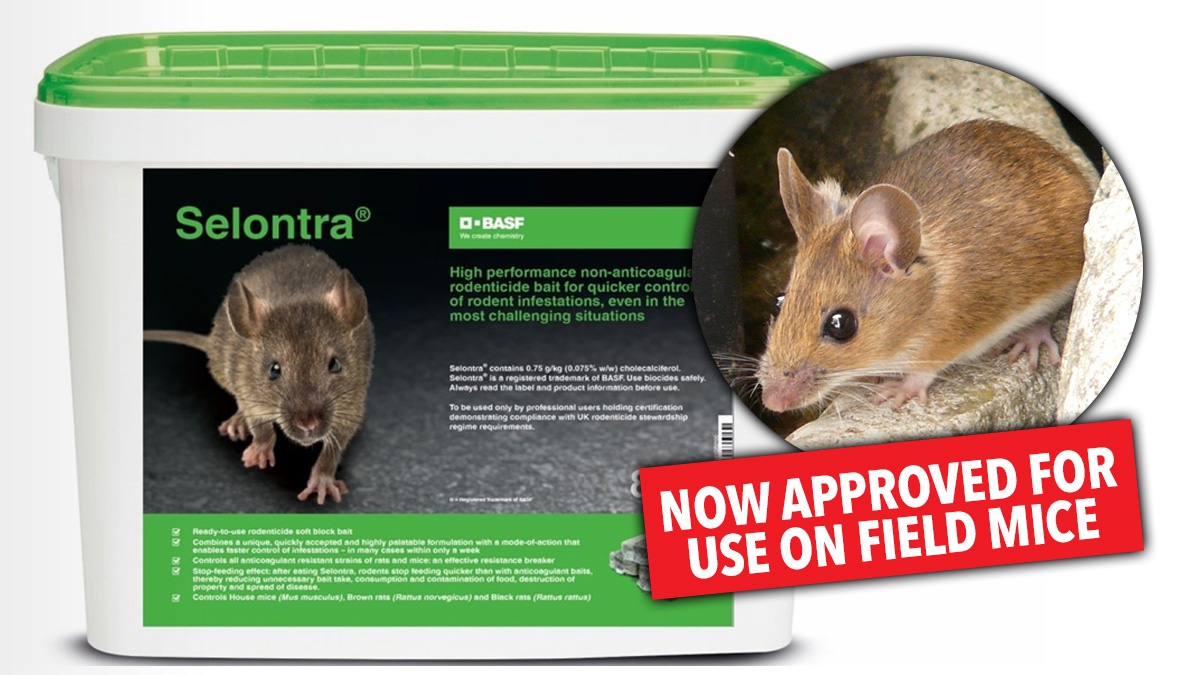 selontra-approved-field-mice